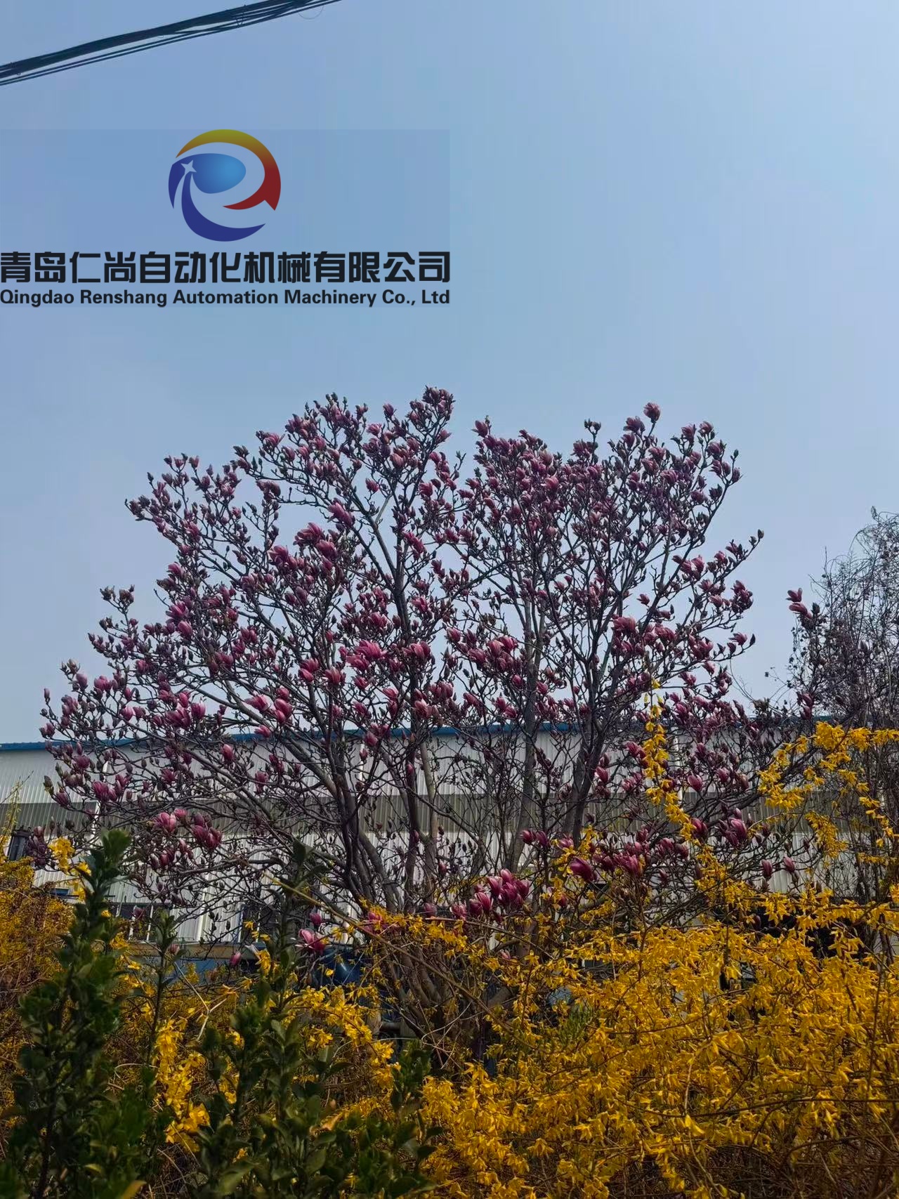 景色2.jpg
